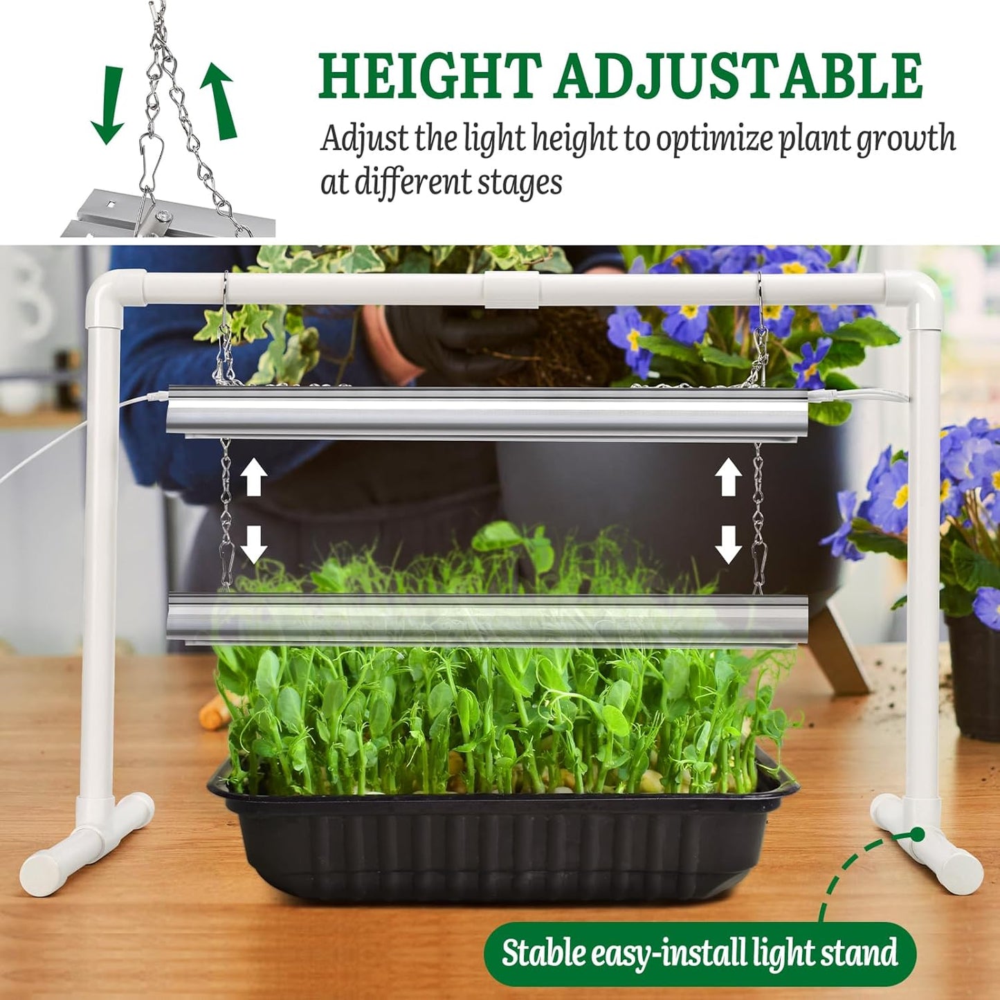 Seed Starter Kit with Grow Light and Heat Mat