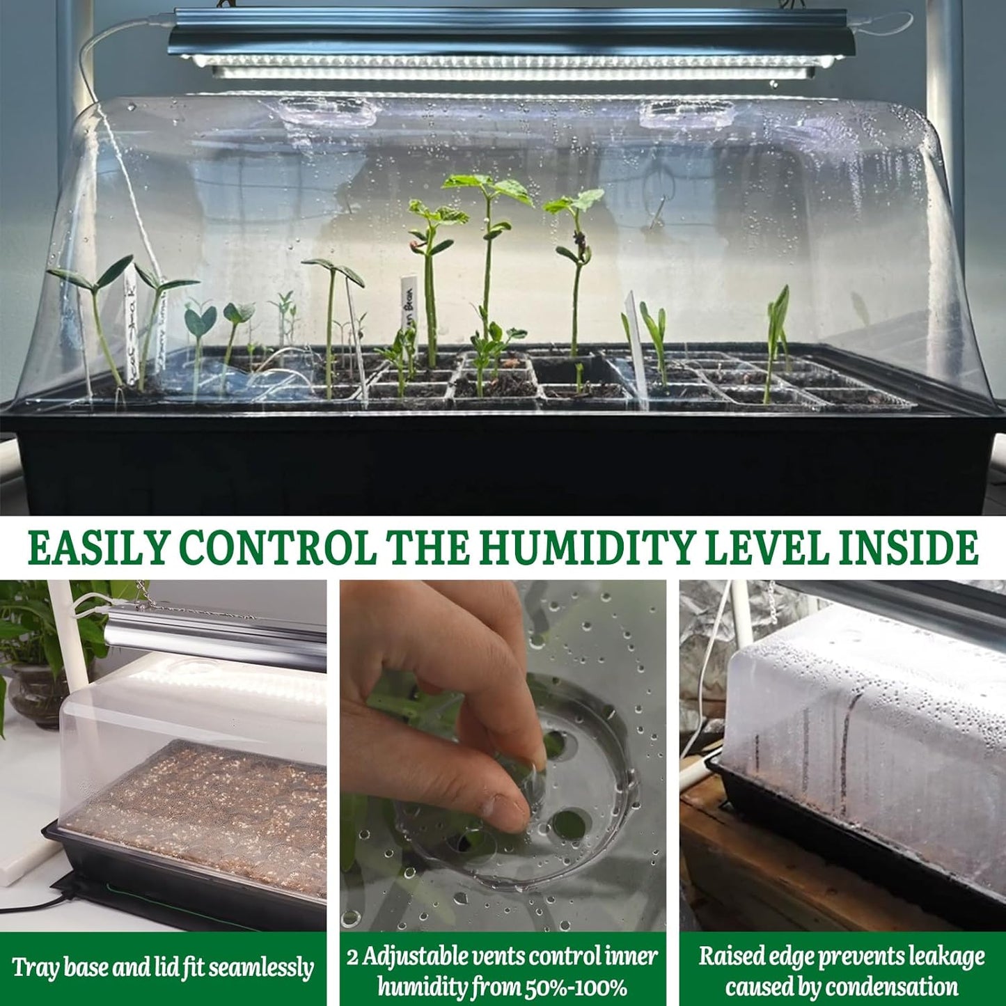 Seed Starter Kit with Grow Light and Heat Mat