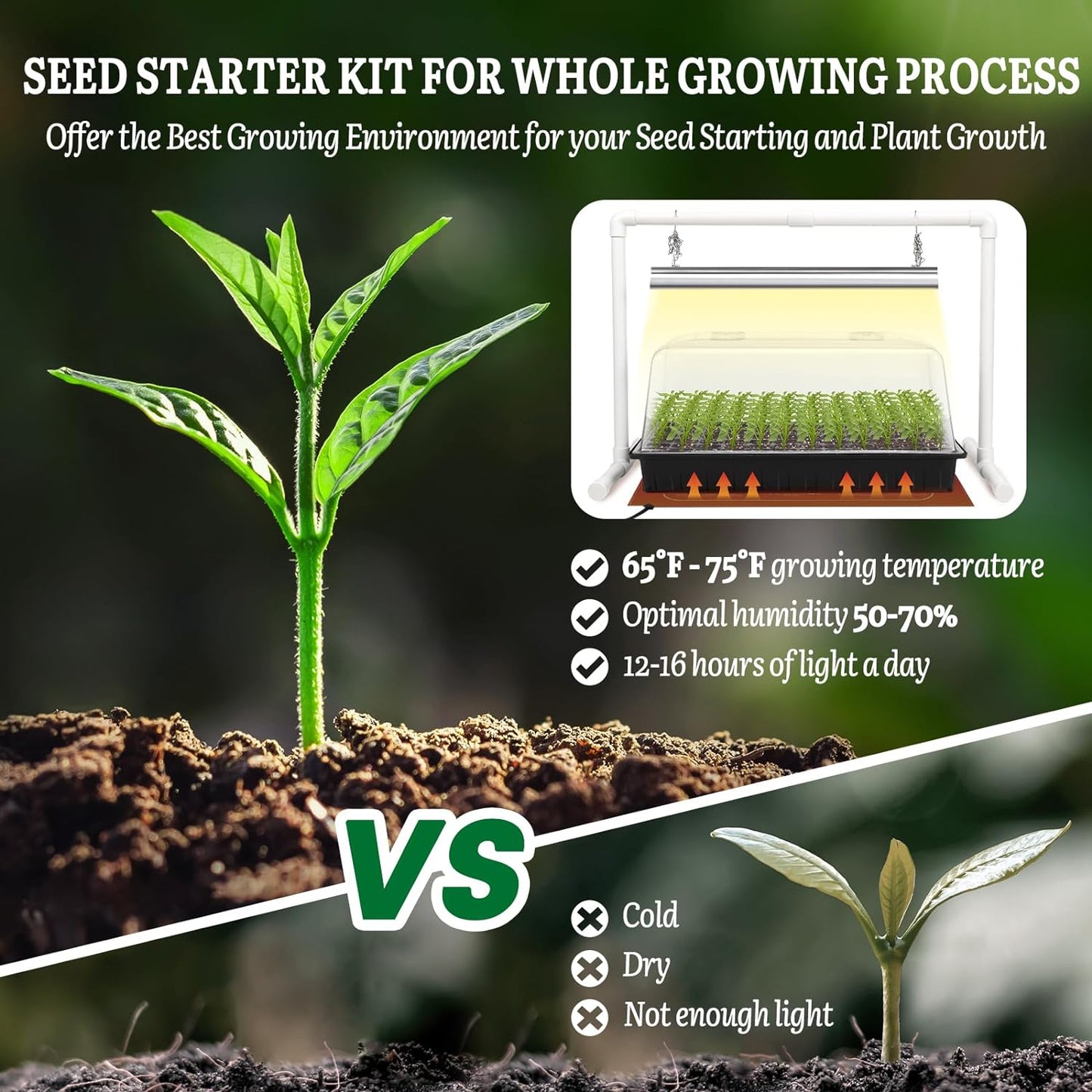 Seed Starter Kit with Grow Light and Heat Mat
