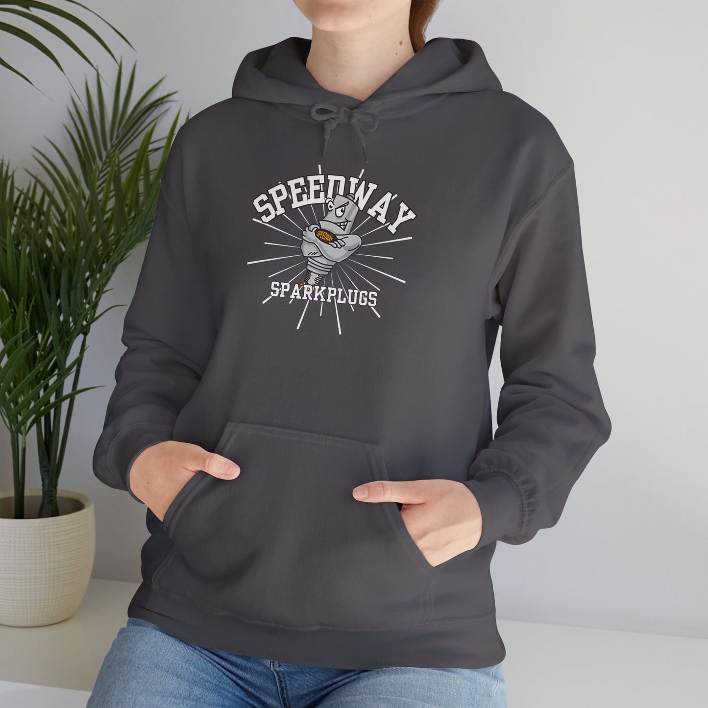 Speedway Vibes - Adult Heavy Blend Hooded Sweatshirt