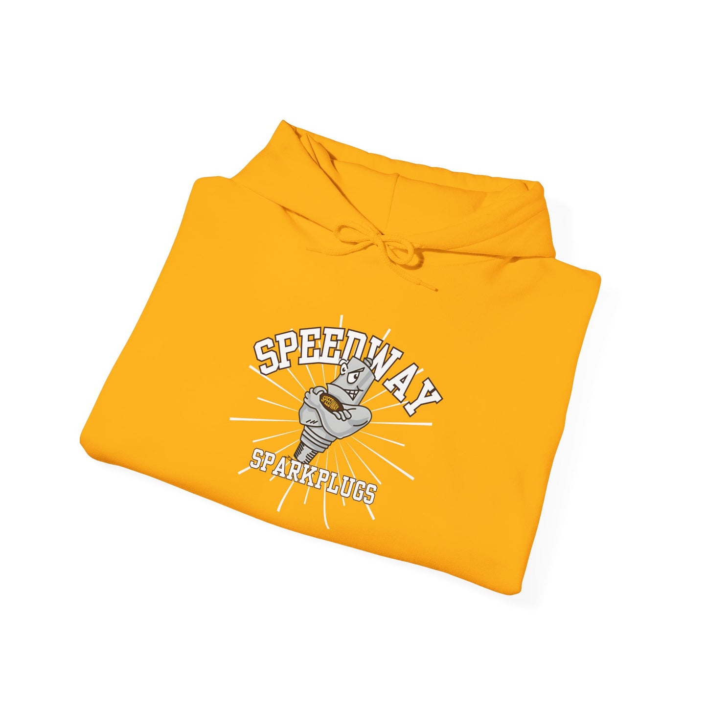 Speedway Vibes - Adult Heavy Blend Hooded Sweatshirt