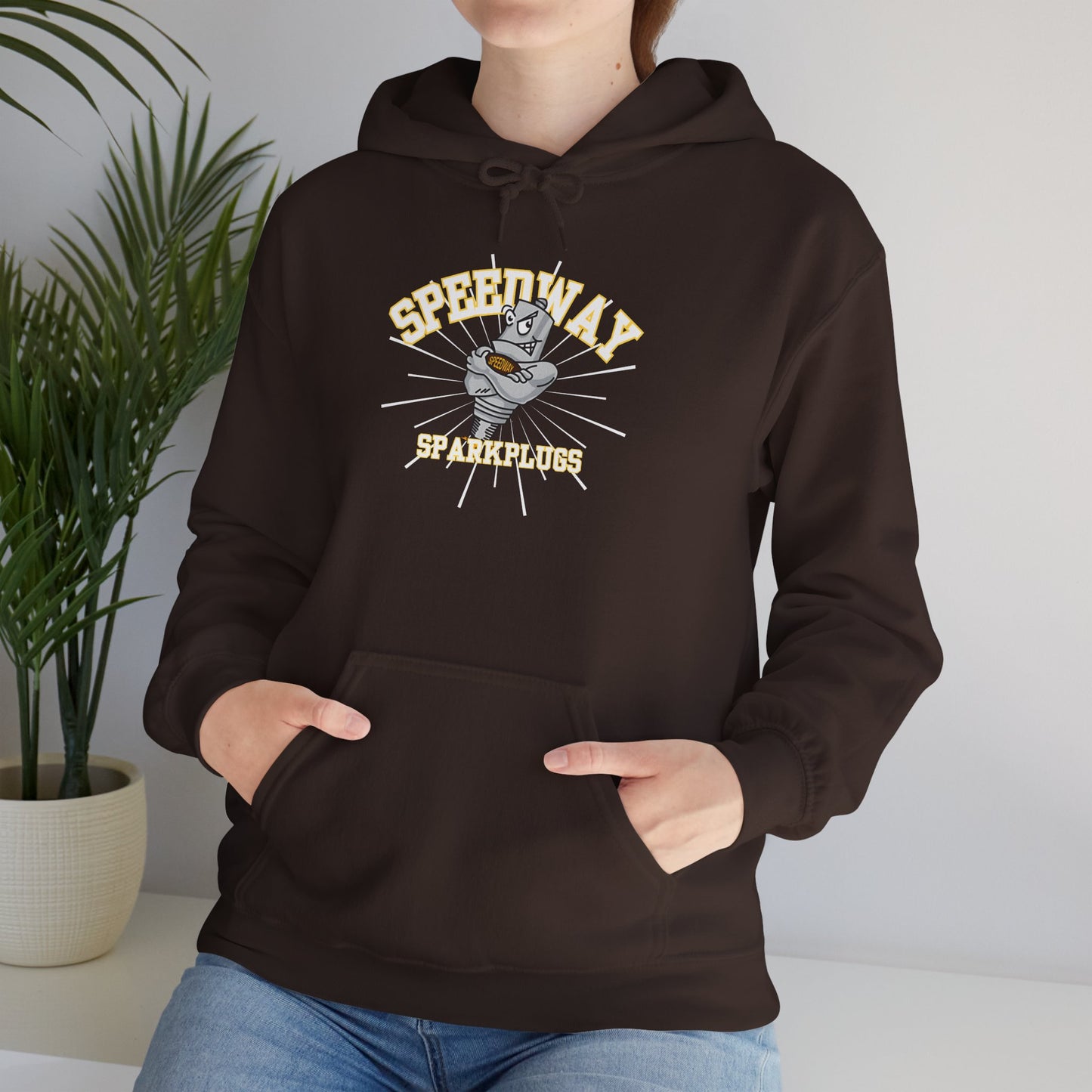 Speedway Vibes - Adult Heavy Blend Hooded Sweatshirt