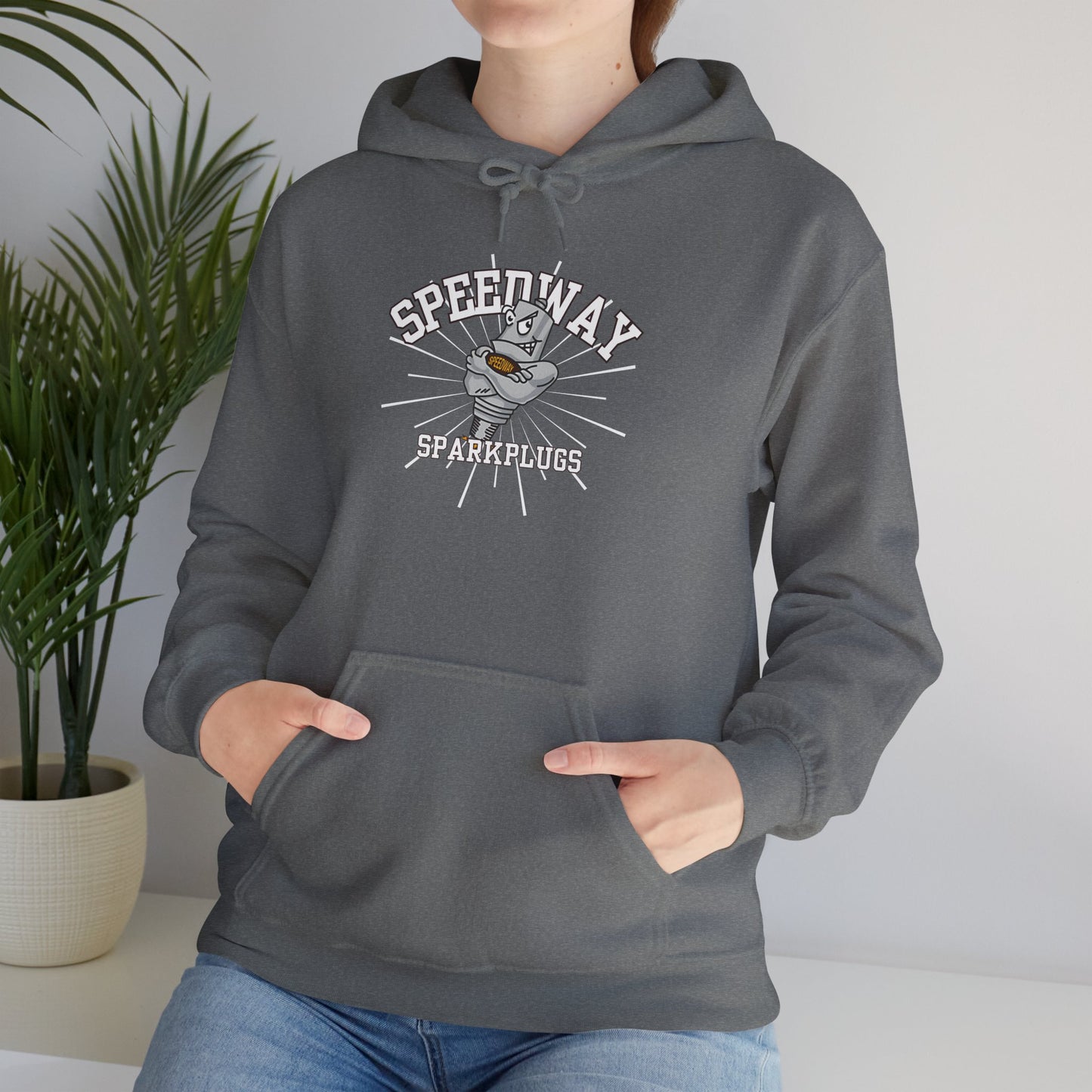 Speedway Vibes - Adult Heavy Blend Hooded Sweatshirt