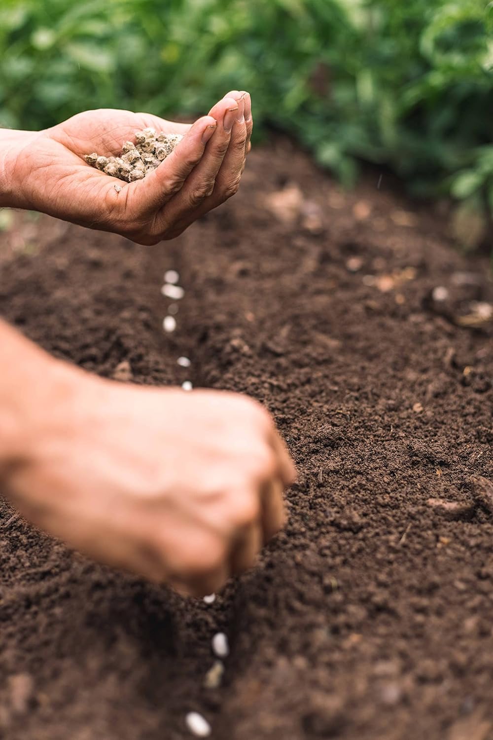 Wool Pellets Water Holding Organic Fertilizer